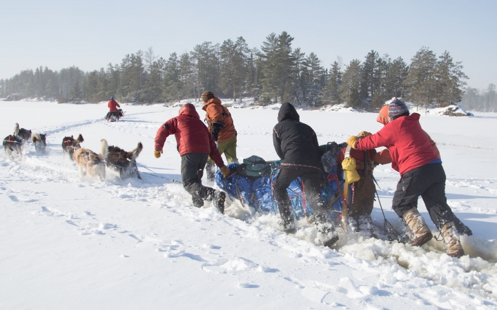 learn how to dog sled in the boundary waters